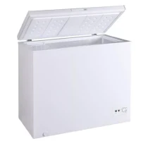 Ladă frigorifică Zanetti LF 198, White 2