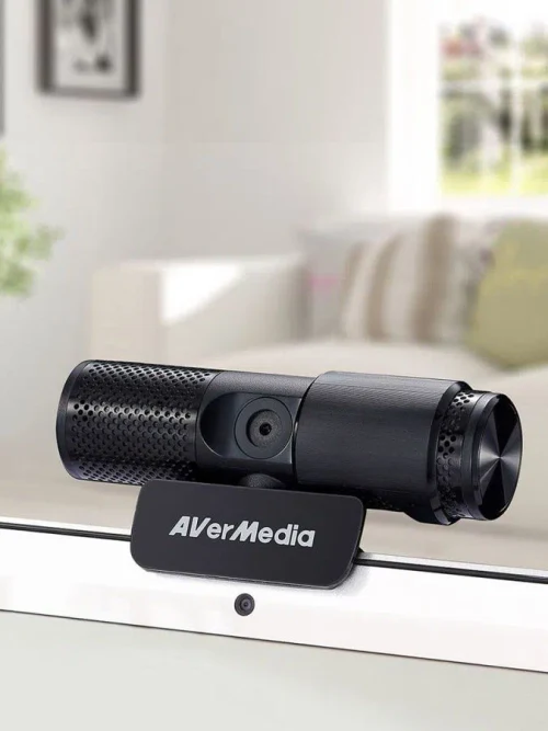 Вебкамера AverMedia Live Streamer CAM 313 (AVER_PW313)