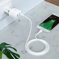 Hoco N4 Aspiring dual port charger set(for Micro)(EU) 5