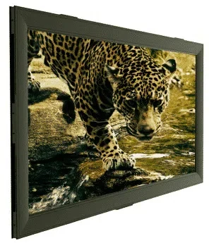Экран для проектора Sopar Aries 8272AR 270x152cm