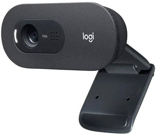 Вебкамера Logitech C505e Business