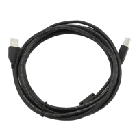 Cablu Cablexpert CCF-USB2-AMBM-10, USB 2.0, 3 m, Negru 3