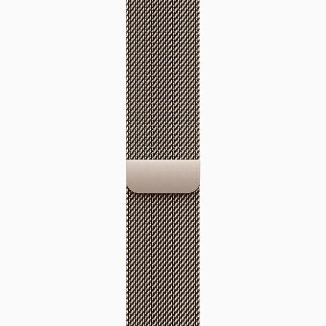 Apple Watch 10 Titanium GPS Natural 42 mm