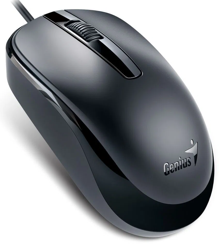 Mouse Genius DX-120 Black