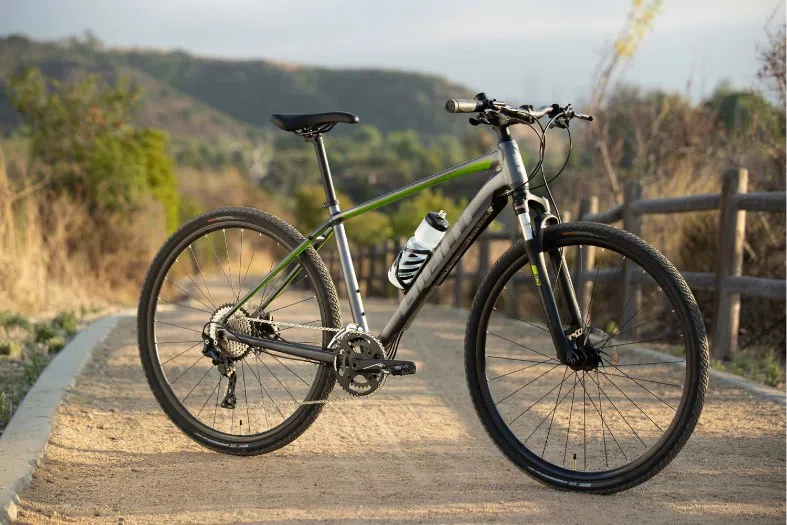 Bicicletă Giant Roam 1 Disc L Charcoal/Green 2020 