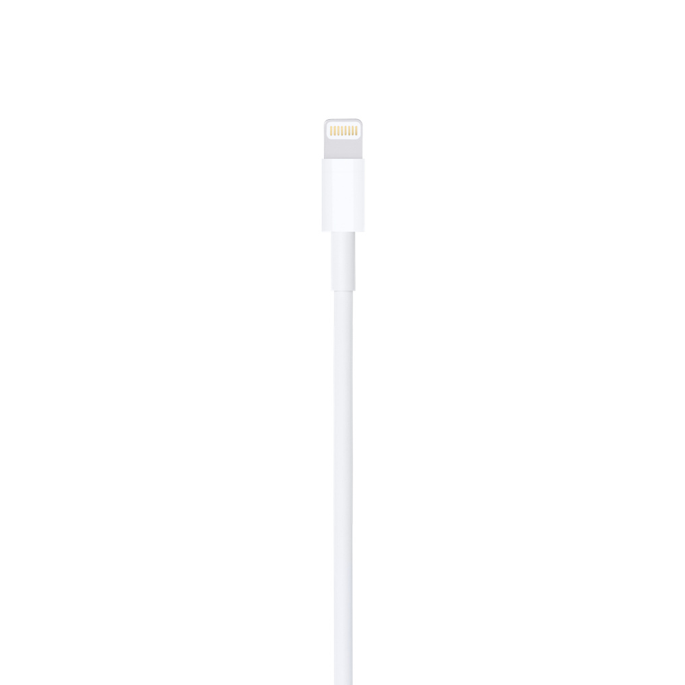 Кабель для зарядки и синхронизации Apple A1480, USB Type-A/Lightning, 1м, Белый