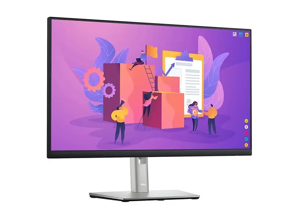 23,8" Monitor DELL P2422H, IPS 1920x1080 FHD, Negru