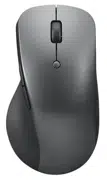 Mouse Lenovo Professional (4Y51J62544)