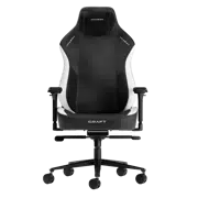 Геймерское кресло DXRacer CRAFT-23-L Black/White