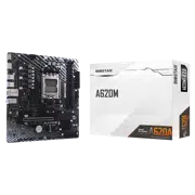 Placă de bază BIOSTAR A620MT, Black