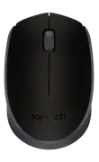 Mouse Logitech M171 Black