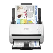 Scaner ADF Epson WorkForce DS-530II, Alb