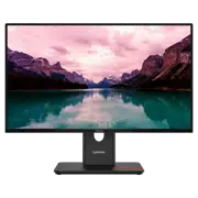 Monitor 23,8" Lenovo T24-40, IPS 1920x1080 FHD, Eclipse Black