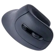 Mouse Wireless Gembird MUSW-ERGO-03, Black