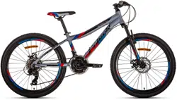 Bicicletă Fulger Neptun 24