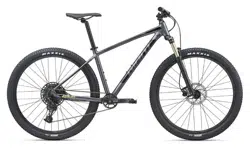 Велосипед Giant Talon 29 1GE M Gray/Green 2020