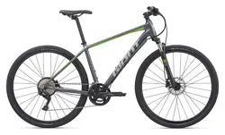 Bicicletă Giant Roam 1 Disc M Charcoal/Green 2020 