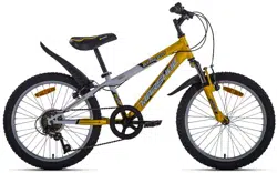 Bicicletă copii Fulger Stream 20